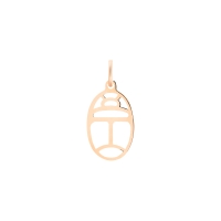 mini gold wish charm